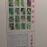 太子参种子新货上市保质保量，量大从优欢迎大家联系