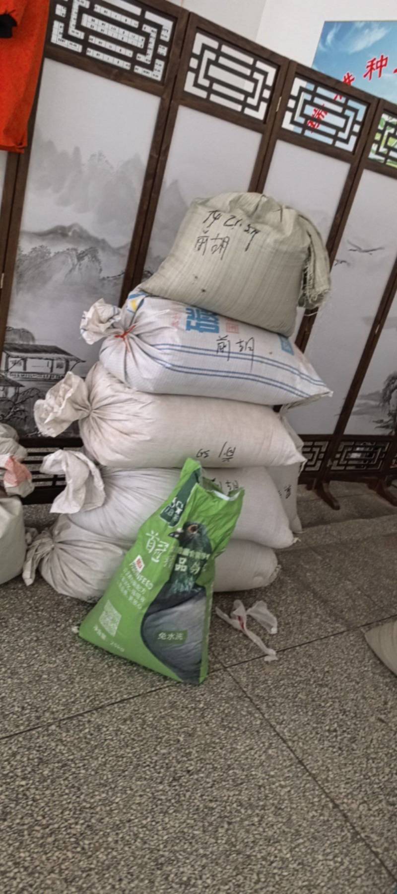 黄芩种子新货上市保质保量，量大从优欢迎大家联系