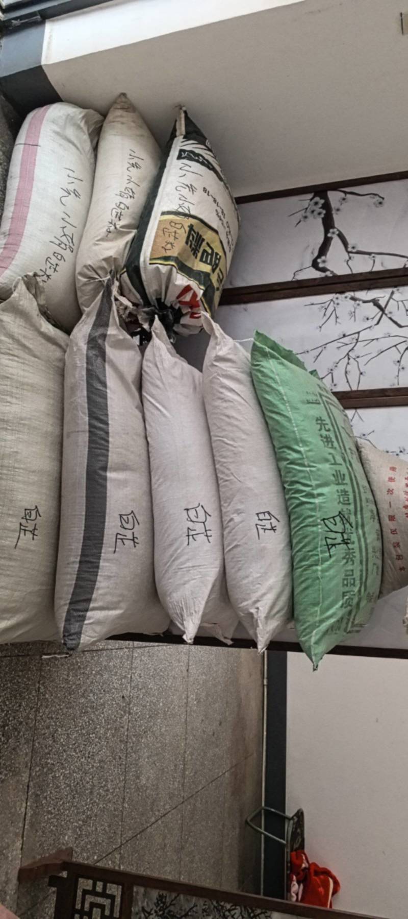黄芩种子新货上市保质保量，量大从优欢迎大家联系