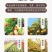 高塔全水溶17-17-17硝硫基复合肥厂家直销