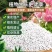 高塔全水溶17-17-17硝硫基复合肥厂家直销