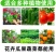 高塔全水溶17-17-17硝硫基复合肥厂家直销