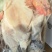 黑腿公鸡工厂直发，全新货现货
