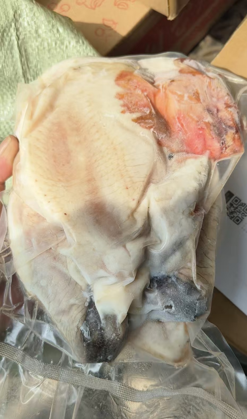 黑腿公鸡工厂直发，全新货现货