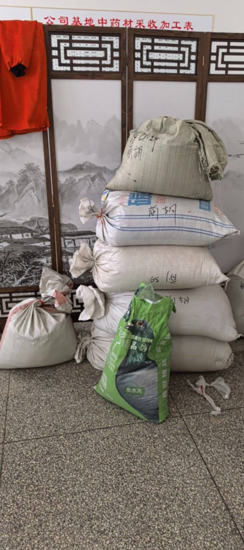 牛膝种子保质保量干净无掺杂土质价格实惠