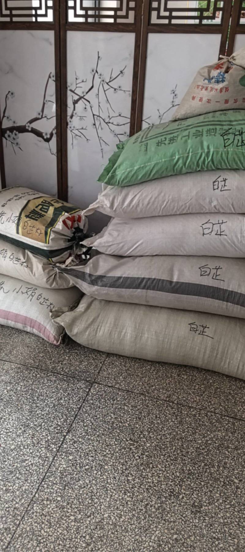 牛膝种子保质保量干净无掺杂土质价格实惠