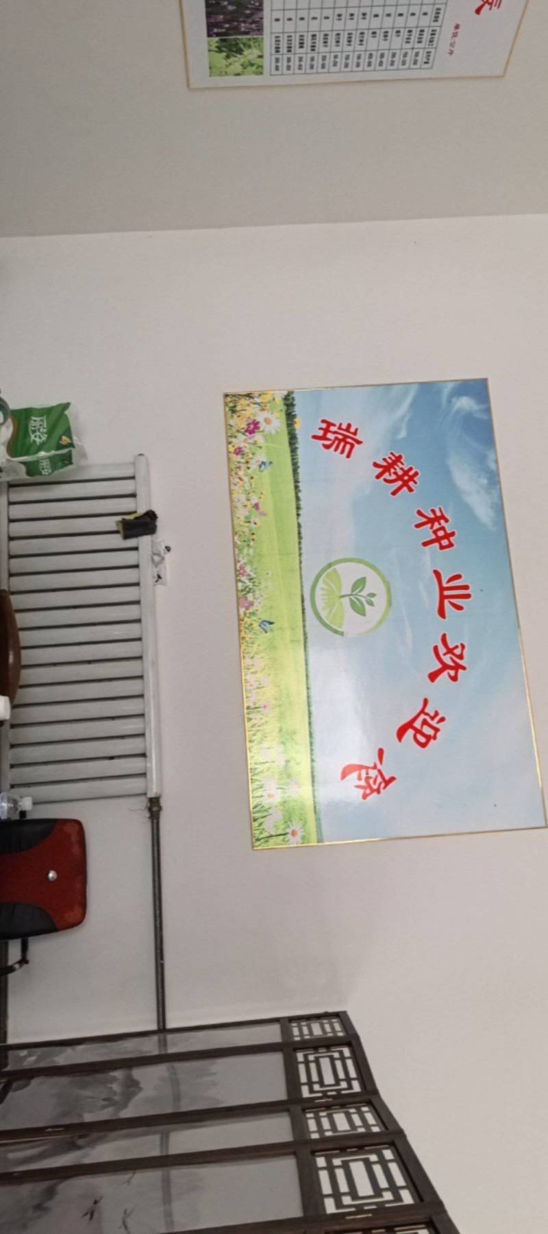 蒲公英种子90%以上
