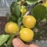 油杏6元每斤