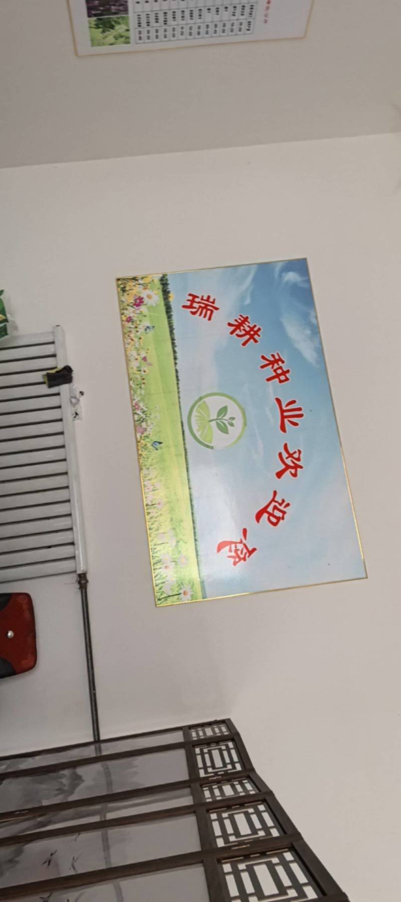 纯新益母草种子，干净无杂质，欢迎新老朋友下单