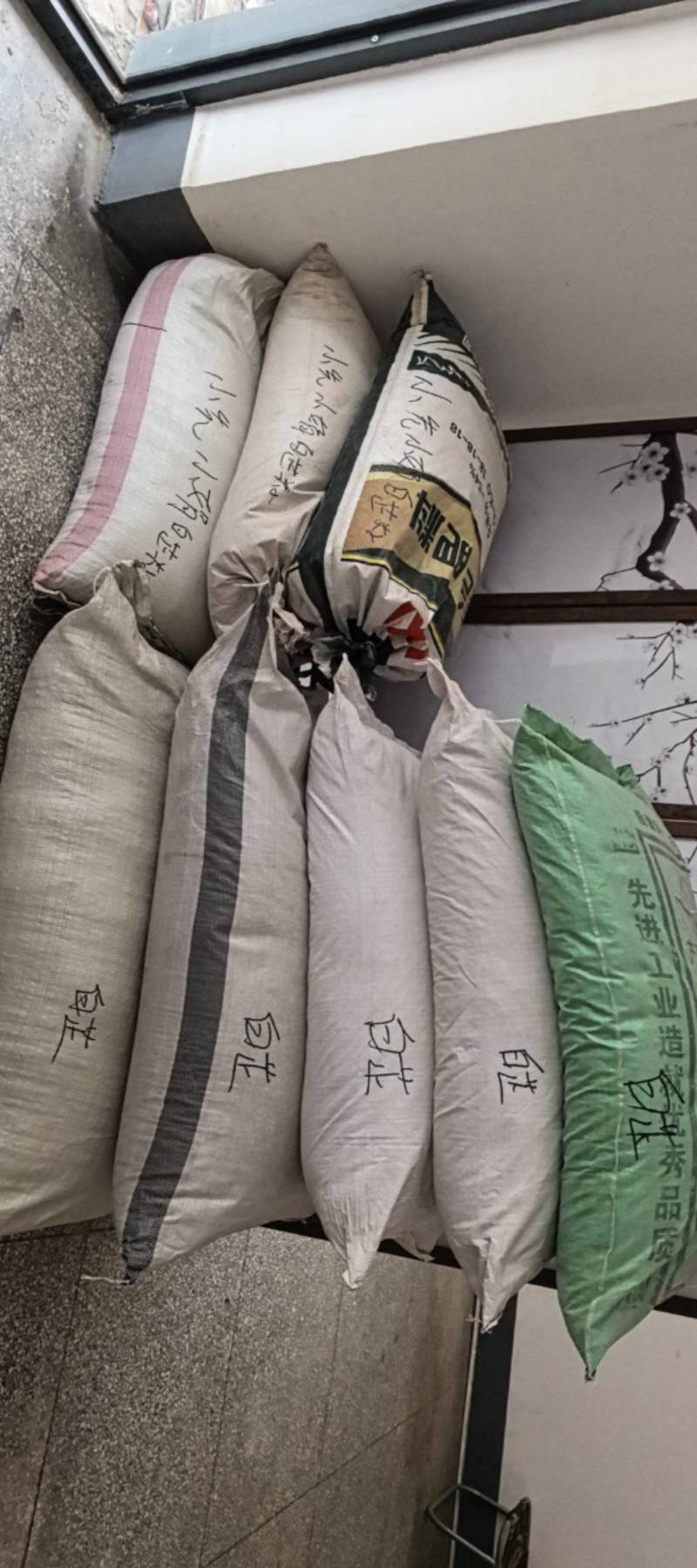 纯新益母草种子，干净无杂质，欢迎新老朋友下单