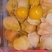 菇娘果灯笼果-黄菇娘花姑娘金灯果品类齐全，一件代发
