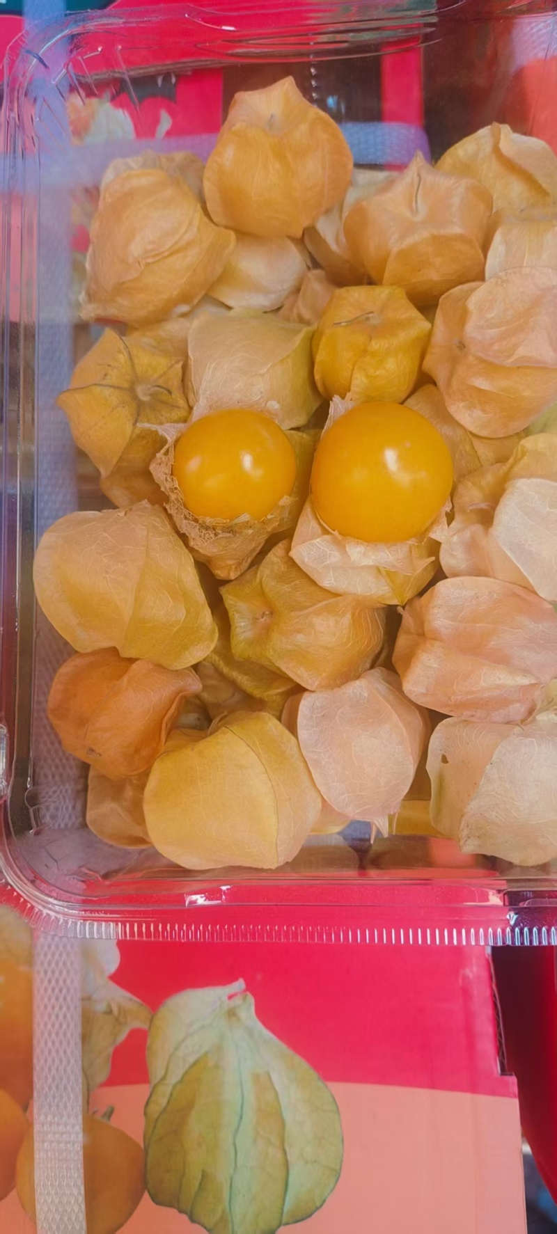 菇娘果灯笼果-黄菇娘花姑娘金灯果品类齐全，一件代发