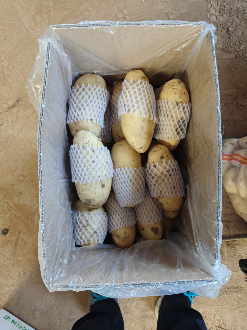 土豆超市**精品
