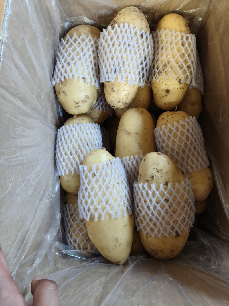 土豆超市**精品