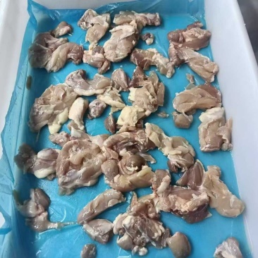 带皮鸡腿肉块