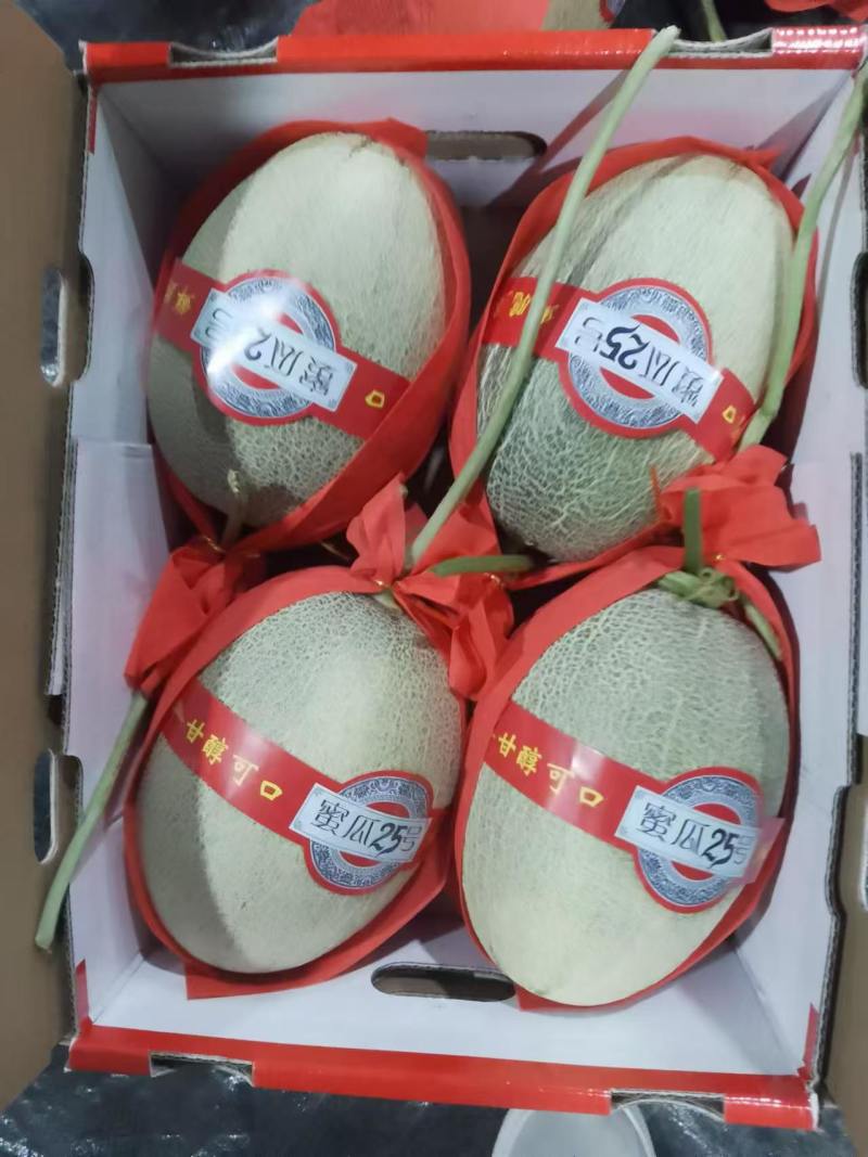 新疆吐鲁番哈密瓜大量上市，供应各大电商平台，各大市场，