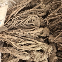 精品甘肃产地直销无硫当归大条规格齐全保质保量