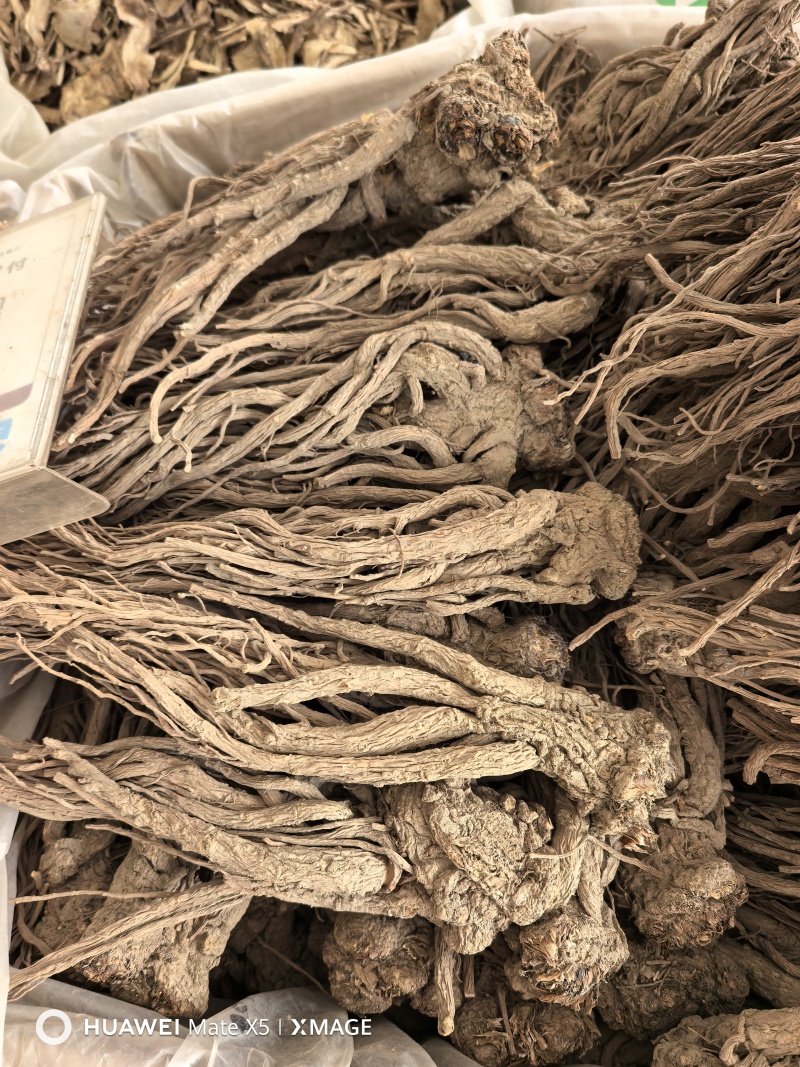 精品甘肃产地直销无硫当归大条规格齐全保质保量