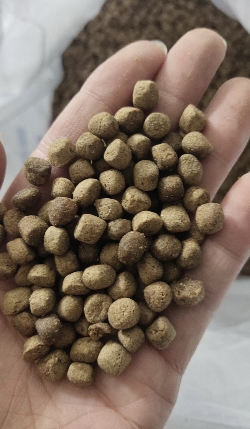 鱼饲料高蛋白淡水通用原塘颗粒养殖草鱼鲤鱼黄骨鱼