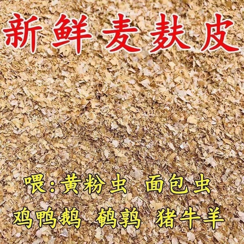 养殖麦麸麸皮鸡鸭鹅夫子农家，麦麸养殖面包虫