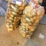 土豆大量出售，价格便宜，货源充足，随到随装