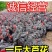 1斤正宗芦花香鸡疫苗齐全好养肉好吃