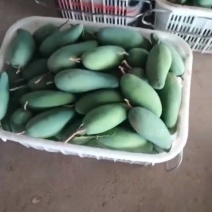 电商大青芒