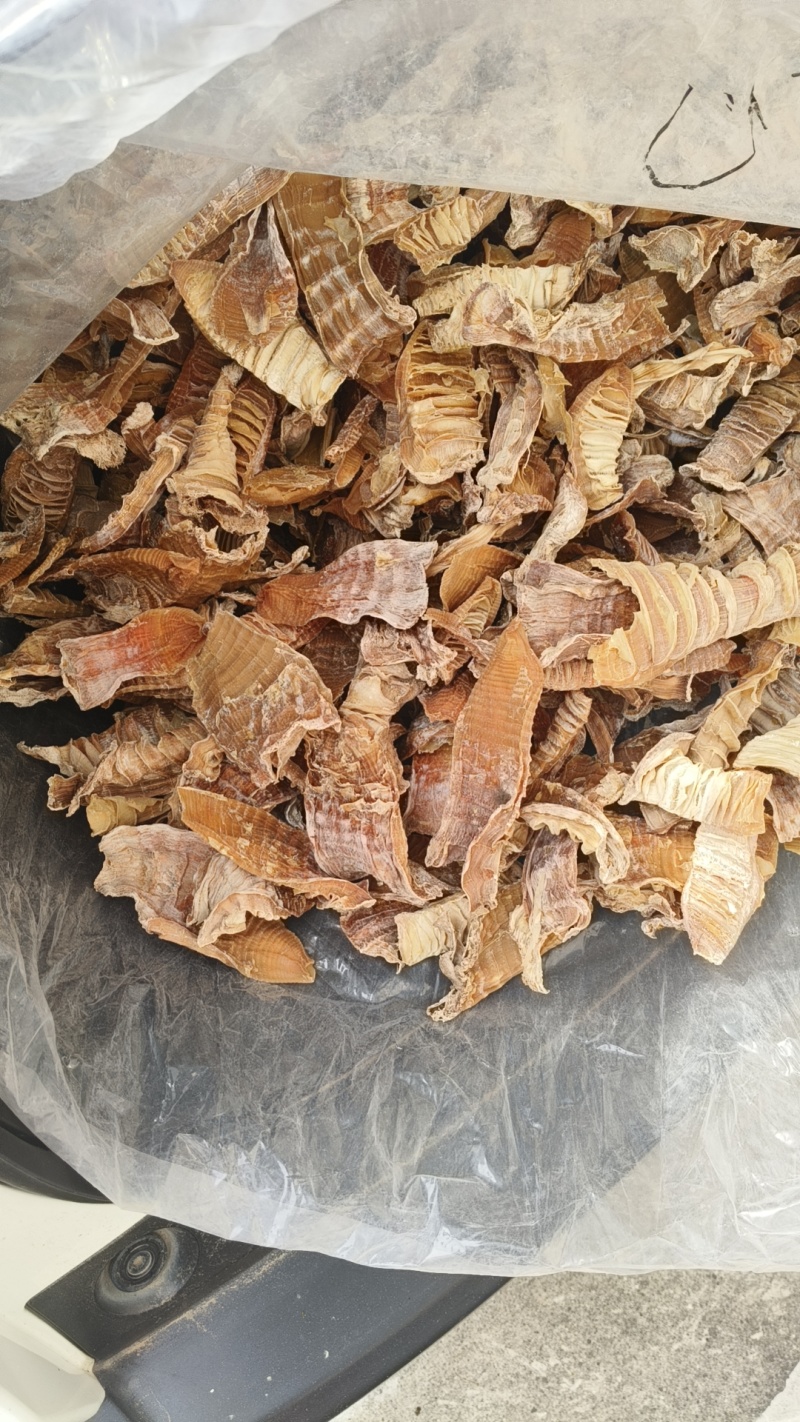 玉兰片