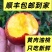 山西黄肉油桃现摘现发，支持一件代发，持续周期到8月底