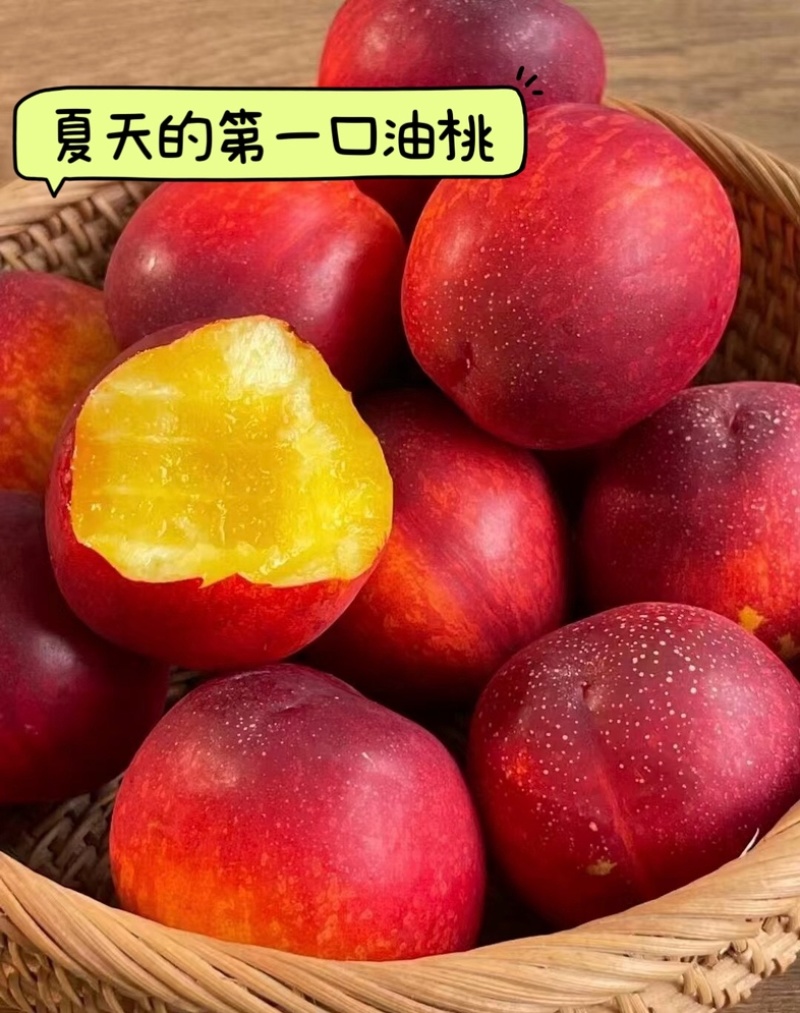 山西黄肉油桃现摘现发，支持一件代发，持续周期到8月底