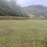 转让草坪基地