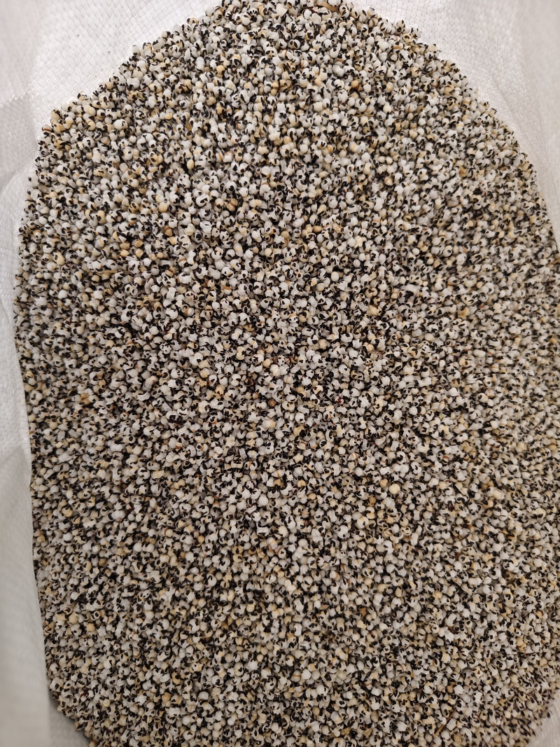 中药材炒王不留行王不留精选王不留子王不留籽