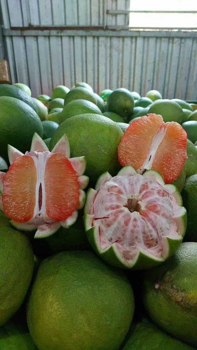 红心♥️翡柚