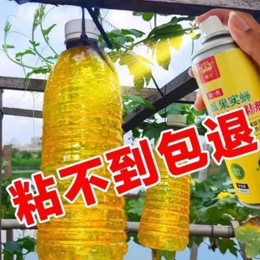 果树病虫正品实蝇持久强效瓜果实蝇诱粘剂针蜂强力诱捕剂