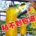 果树病虫正品实蝇持久强效瓜果实蝇诱粘剂针蜂强力诱捕剂