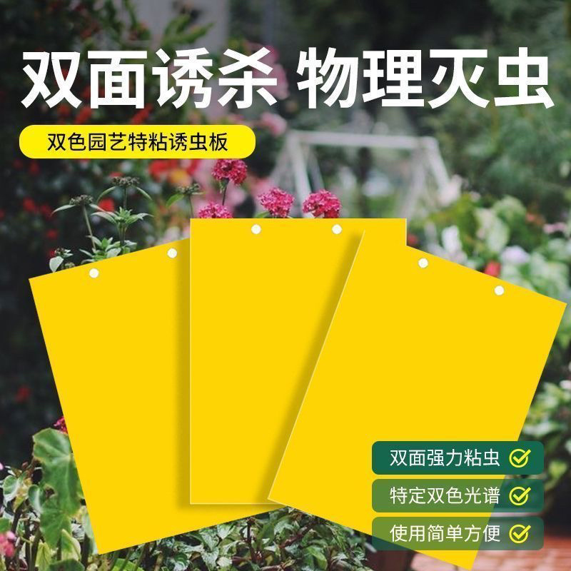 柑橘瓜果实蝇诱虫板针蜂黄板双面粘虫防虫果园大棚蓟马小