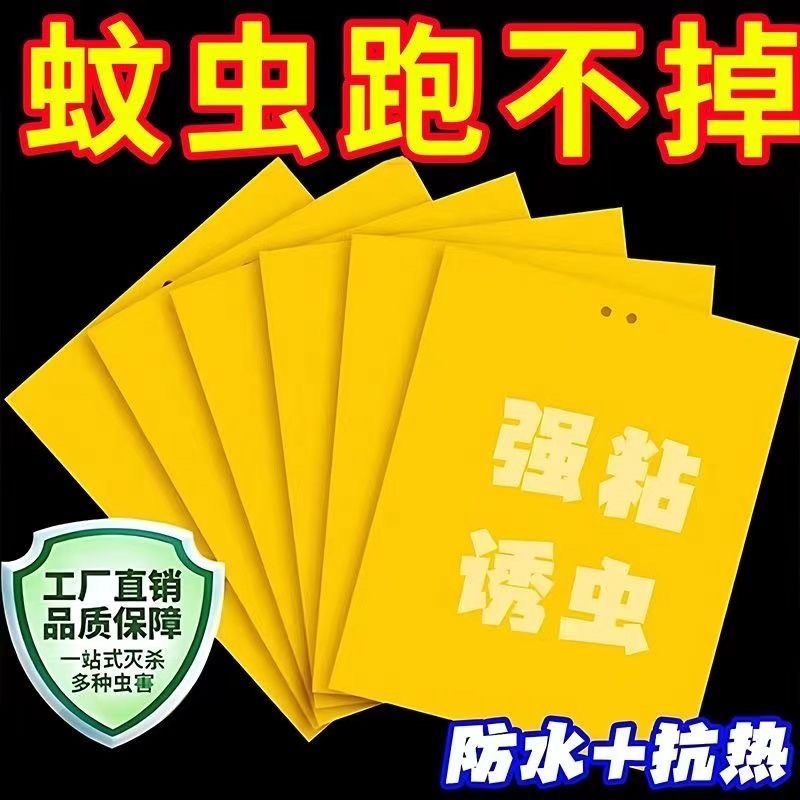 柑橘瓜果实蝇诱虫板针蜂黄板双面粘虫防虫果园大棚蓟马小