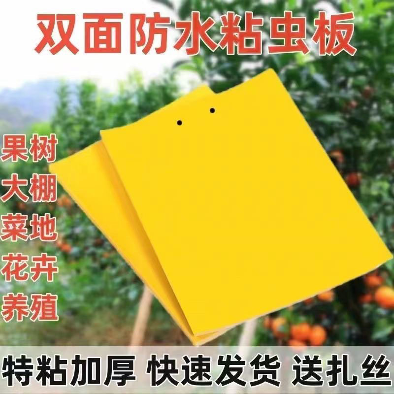 柑橘瓜果实蝇诱虫板针蜂黄板双面粘虫防虫果园大棚蓟马小