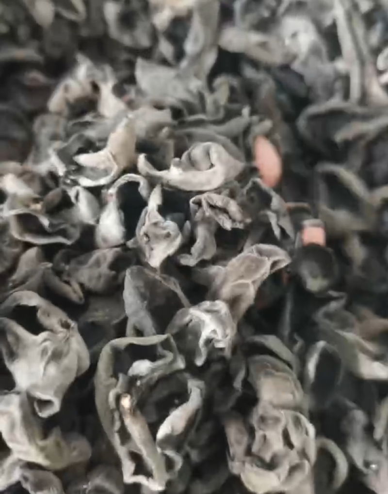 严选统货基地木耳