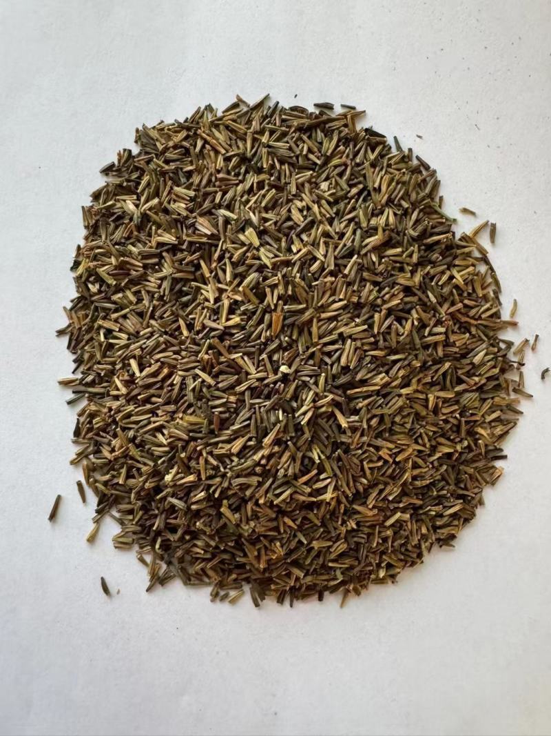 除虫菊种子驱蚊植物种子防蚊驱蚊草室外庭院驱蚊花草种子