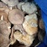 香菇23一斤