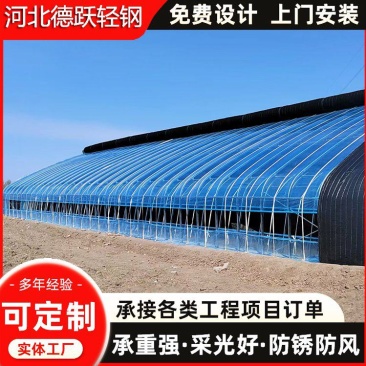 塑料薄膜温室大棚热镀锌钢骨架蔬菜大棚养殖大棚,全国承