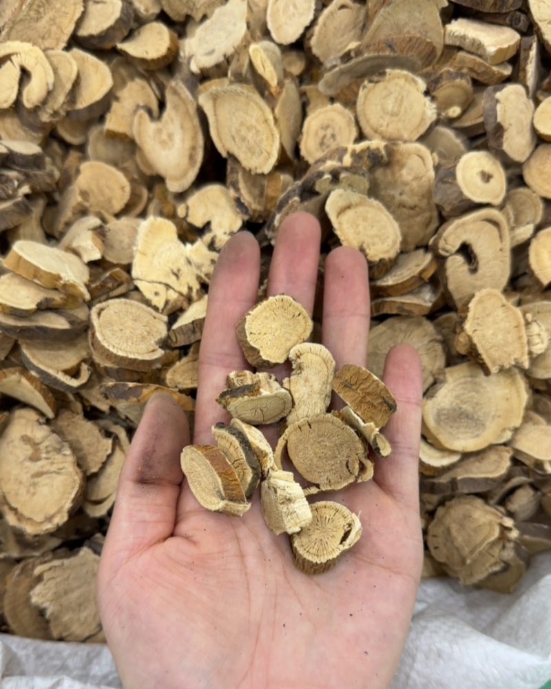 【精品苦参】河北纯干货颜色好无硫品质高保含量