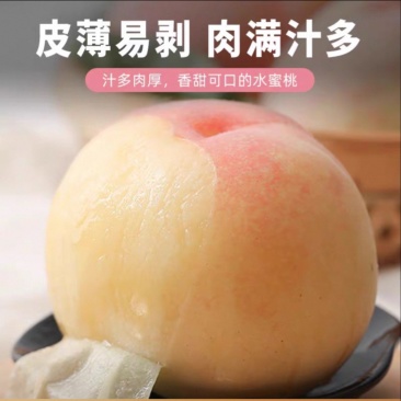 阳山水蜜桃，甘甜可口多汁欢迎商超批发商选购，2026预售