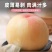 阳山水蜜桃，甘甜可口多汁欢迎商超批发商选购，2026预售