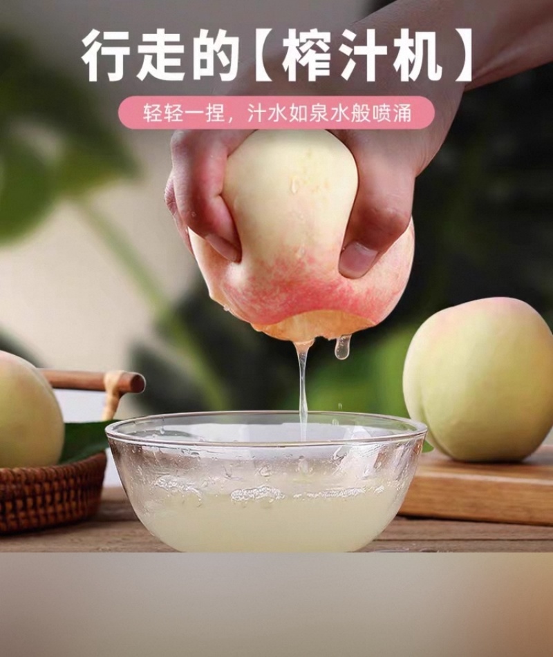 阳山水蜜桃，甘甜可口多汁欢迎商超批发商选购，2026预售