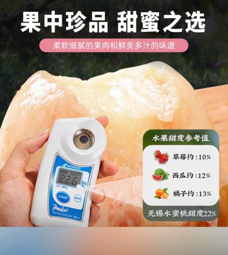 阳山水蜜桃，甘甜可口多汁欢迎商超批发商选购，2026预售