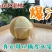 阳山水蜜桃，甘甜可口多汁欢迎商超批发商选购，2026预售