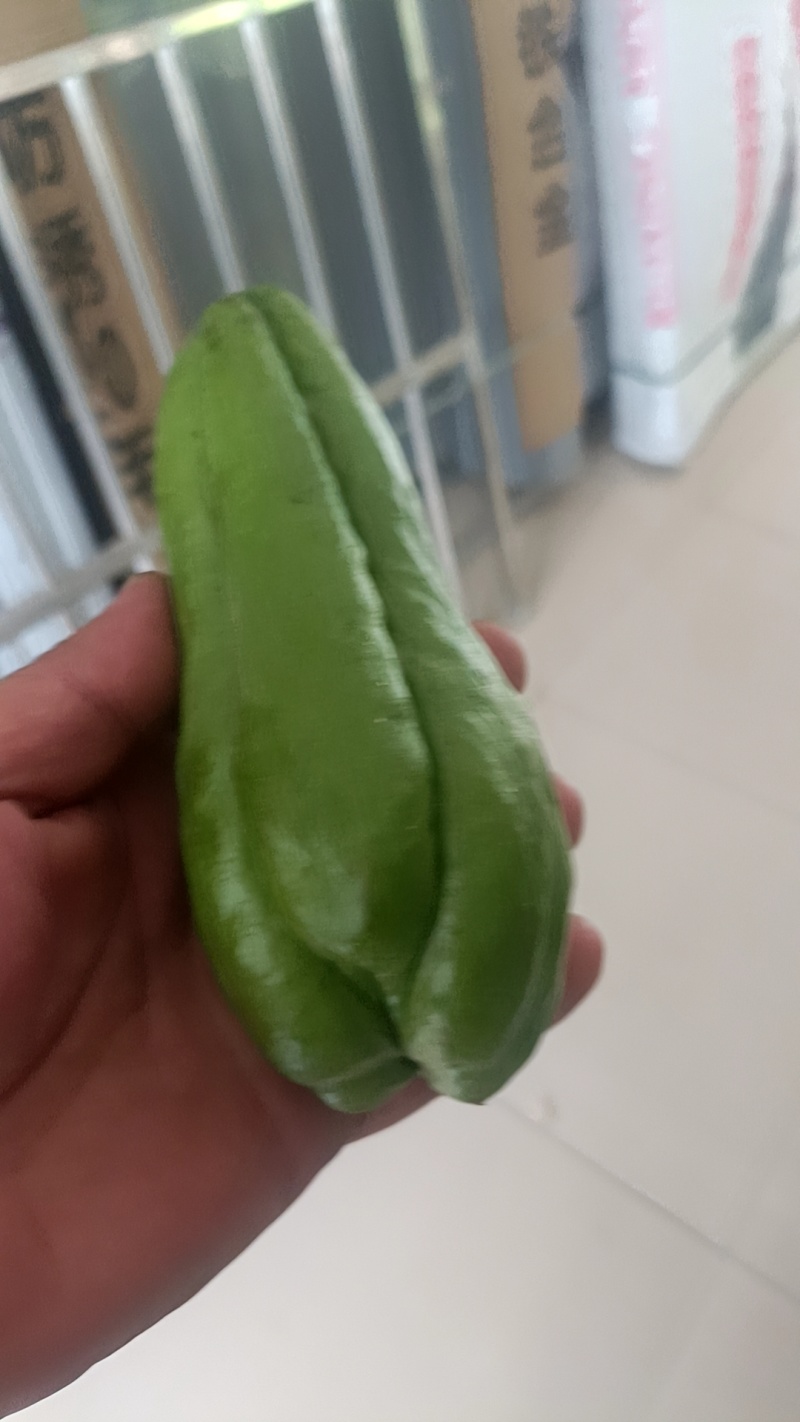 云南佛手瓜