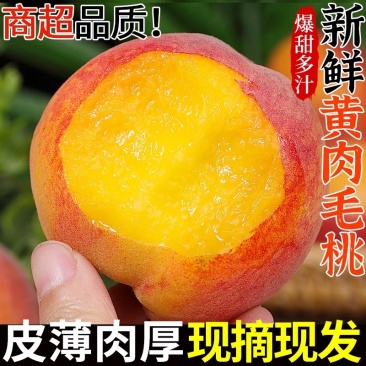 湖北襄阳黄桃大吨位供货品质高！